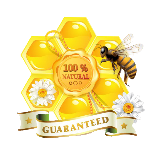 honey-bee-honey-bee-organic-food-honeycomb-bees-and-honey-5d28013295ec3b4541f41679f2a36147